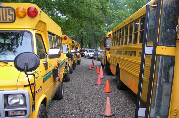 Yellow buses.